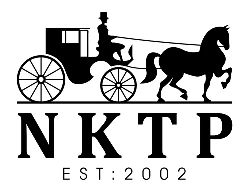 Logo Xi Mạ Thanh Phong - Công Ty TNHH Sản Xuất Thương Mại Ngũ Kim Thanh Phong
