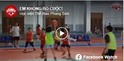 Sản phẩm vieo 1 — Công Ty TNHH Một Thành Viên Dịch Vụ - Đầu Tư - Thương Mại Phong Sơn — MST 0305640607