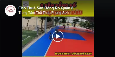 Sản phẩm vieo 2 — Công Ty TNHH Một Thành Viên Dịch Vụ - Đầu Tư - Thương Mại Phong Sơn — MST 0305640607