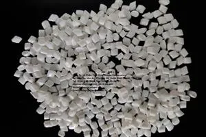 Sản phẩm 02524082070419 — Công Ty Cổ Phần Tiếp Cận — MST 0305650549