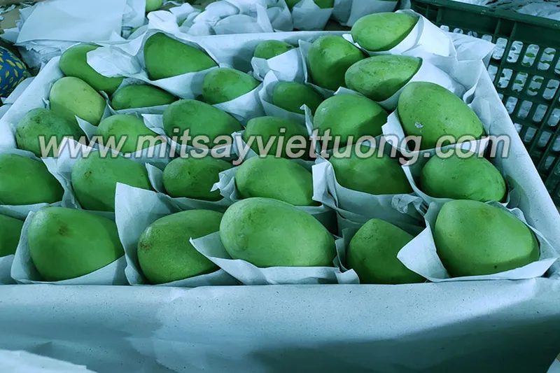 Sản phẩm 2825372010482 — Công Ty TNHH Thực Phẩm Việt Tường — MST 0305660360