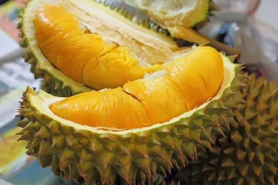 Sản phẩm 9249222373117 — Công Ty TNHH Thực Phẩm Việt Tường — MST 0305660360
