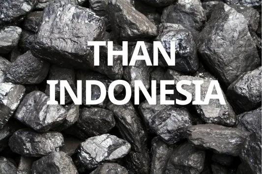 Sản phẩm than indonesia 4 533x355 — Than Indonesia, Than Đá Indo - Công Ty Cổ Phần Công Nghệ Việt Ân — MST 0305731452