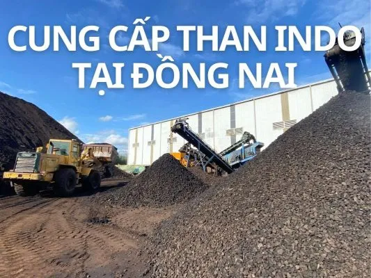 Sản phẩm cung cap than indo tai dong nai 533x400 — Than Indonesia, Than Đá Indo - Công Ty Cổ Phần Công Nghệ Việt Ân — MST 0305731452