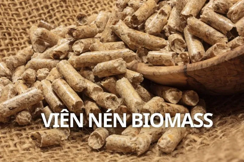 Sản phẩm vien nen biomass 1024x682 — Than Indonesia, Than Đá Indo - Công Ty Cổ Phần Công Nghệ Việt Ân — MST 0305731452