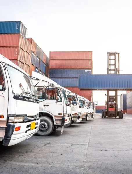 Sản phẩm noi dia 454x600 — Công Ty TNHH Tiếp Vận Long Việt — MST 0305749594