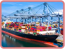 Sản phẩm nho 2 — Công Ty TNHH Tiếp Vận Long Việt — MST 0305749594