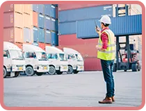 Sản phẩm nho 3 — Công Ty TNHH Tiếp Vận Long Việt — MST 0305749594