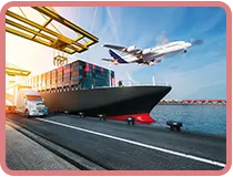 Sản phẩm nho 4 — Công Ty TNHH Tiếp Vận Long Việt — MST 0305749594