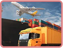 Sản phẩm nho s1 — Công Ty TNHH Tiếp Vận Long Việt — MST 0305749594