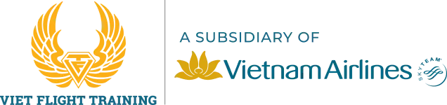 Trường Phi Công Bay Việt logo