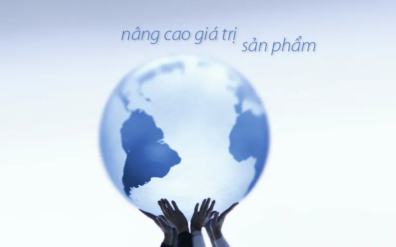 Sản phẩm 4 — Công Ty Cổ Phần Thương Mại Dịch Vụ Bao Bì Thời Đại — MST 0305796555