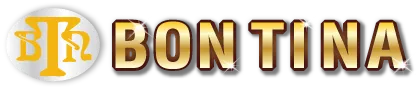 Logo Công TY TNHH BON TI NA