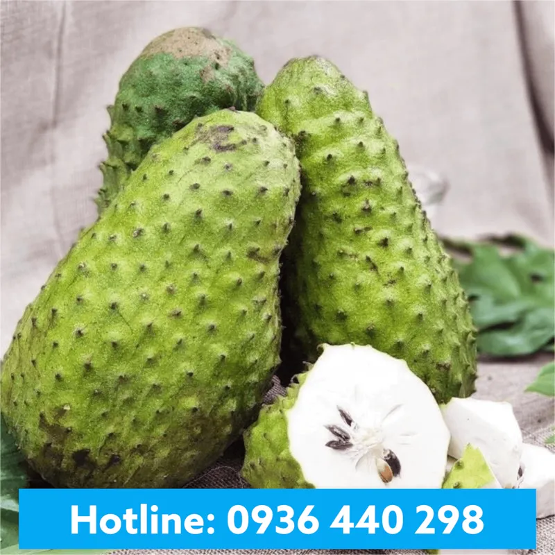 Sản phẩm namthienan product 91 — Nam Thiên Ân - Công Ty TNHH Nam Thiên Ân — MST 0305974737