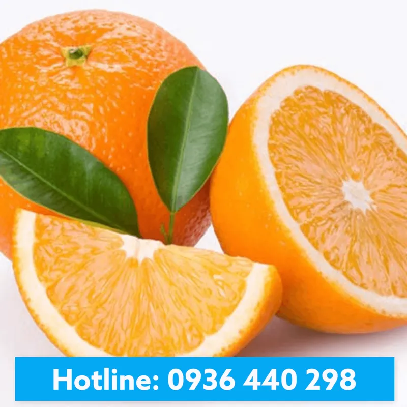 Sản phẩm namthienan product 911 — Nam Thiên Ân - Công Ty TNHH Nam Thiên Ân — MST 0305974737