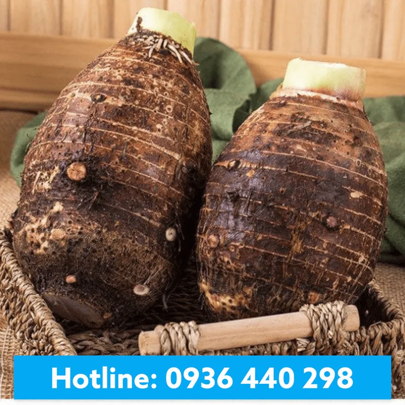 Sản phẩm namthienan product 97 — Nam Thiên Ân - Công Ty TNHH Nam Thiên Ân — MST 0305974737