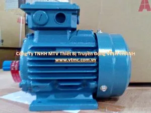 Sản phẩm motor abb1522828550 300x225 — Công Ty TNHH MTV Thiết Bị Truyền Động Vĩnh Thành — MST 0305976011