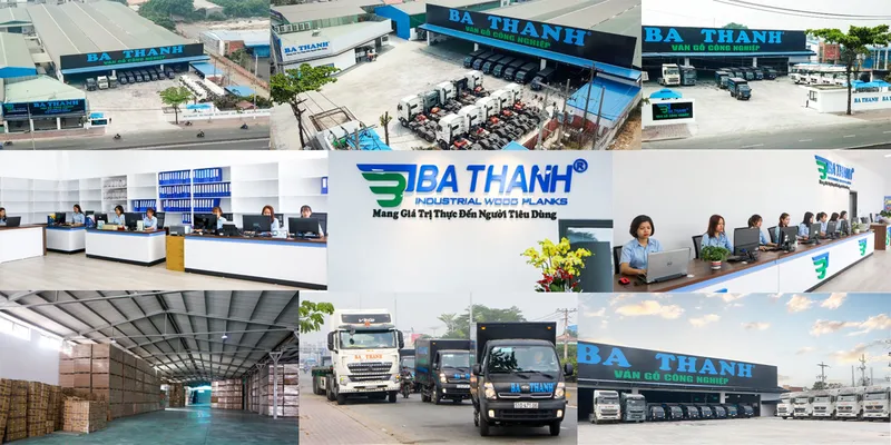 Sản phẩm z2367238751055_a9c09e9e84cf022e2db94c2948328f81 — Công Ty Cổ Phần Tập Đoàn Ba Thanh — MST 0306007933