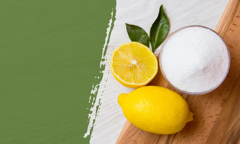 Sản phẩm acid citric — Phân Bón SenTra - Công Ty TNHH SenTra — MST 0306021913