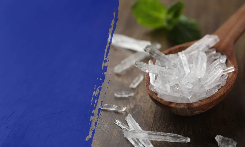 Sản phẩm menthol crystals — Phân Bón SenTra - Công Ty TNHH SenTra — MST 0306021913