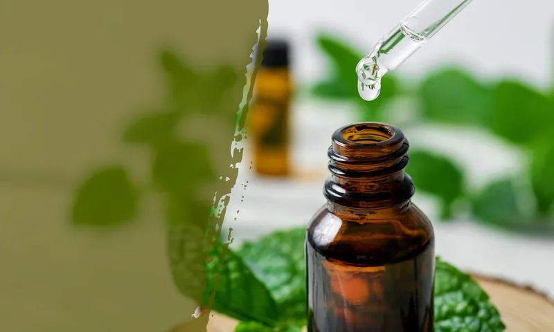 Sản phẩm peppermint oil bp — Phân Bón SenTra - Công Ty TNHH SenTra — MST 0306021913