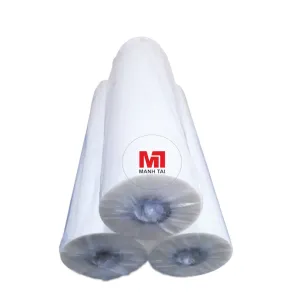 Sản phẩm mang BOPP bong 8 300x300 — Công Ty TNHH MTV Dịch Vụ Thương Mại Mạnh Tài — MST 0306024696