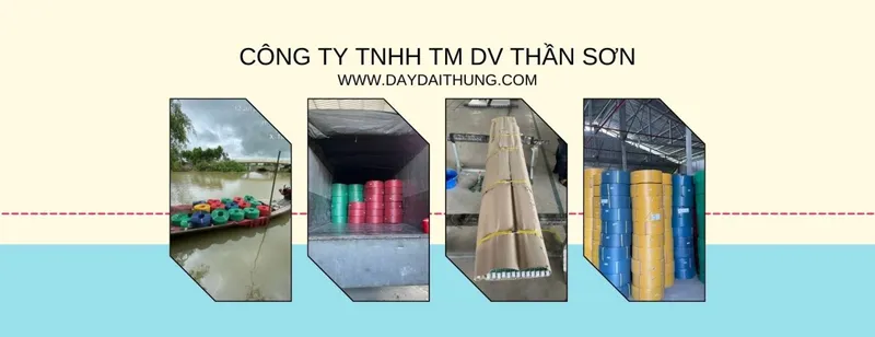 Sản phẩm day dai nhua pp gia re 56610 — Công Ty TNHH MTV TM DV Thần Sơn — MST 0306051107
