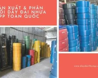Sản phẩm a chi ban day dai nhua pp gia re binh duong 4042 — Công Ty TNHH MTV TM DV Thần Sơn — MST 0306051107