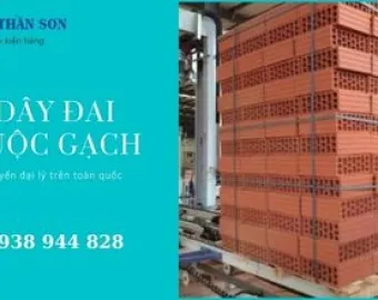 Sản phẩm ban day dai nhua buoc gach phu yen 5610 — Công Ty TNHH MTV TM DV Thần Sơn — MST 0306051107