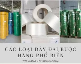 Sản phẩm cac loai day dai buoc hang pho bien tren thi truong 3239 — Công Ty TNHH MTV TM DV Thần Sơn — MST 0306051107