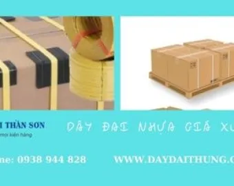 Sản phẩm cach dong day dai nhua hieu qua trong dai kieng hang 2645 — Công Ty TNHH MTV TM DV Thần Sơn — MST 0306051107