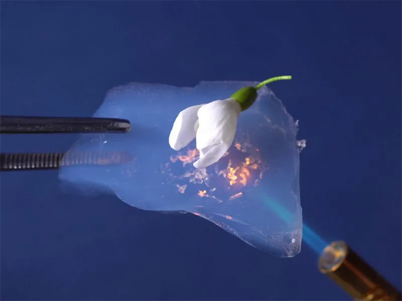 Sản phẩm aerogel la gi kham pha aerogel vat lieu ran nhe nhat the gioi — Công Ty TNHH Vật Liệu Xây Dựng Toàn Cầu — MST 0306056257