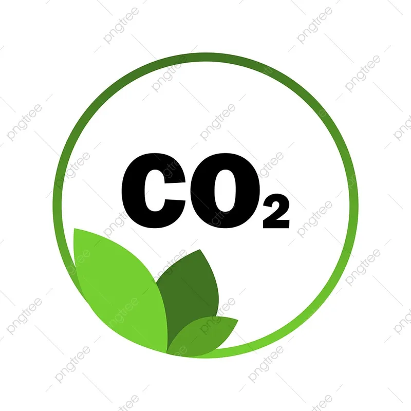 Sản phẩm CO2 — Công Ty TNHH Hoài Bảo — MST 0306076937