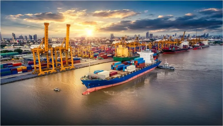 Sản phẩm XuatNhapKhau 768x434 — Vận Tải Đông Dương - Công Ty TNHH TM DV Du Lịch Vận Tải Đông Dương — MST 0306163812
