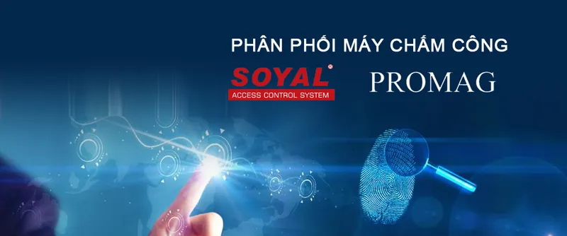 Sản phẩm 2625969929893170 — Công Ty TNHH Thương Mại Và Xuất Nhập Khẩu Ánh Dương — MST 0306178860