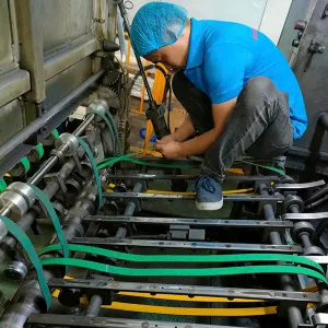 Sản phẩm Bang_tai_in_an,_bao_bi_baobi 2024 10 30 140624 — Công Ty TNHH Thương Mại Kỹ Thuật Minh Đăng — MST 0306193380