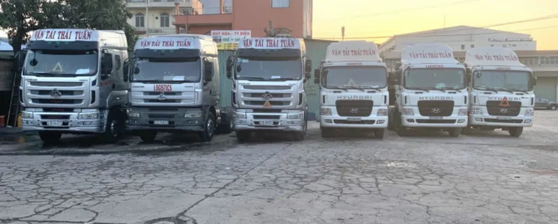 Sản phẩm 090378390208057vi0 — Vận Tải Thái Tuấn - Công Ty TNHH Tập Đoàn Thái Tuấn Logistics — MST 0306229492