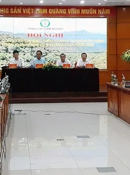 Sản phẩm 5056toan canh hoi nghi 8673 — Vận Tải Thái Tuấn - Công Ty TNHH Tập Đoàn Thái Tuấn Logistics — MST 0306229492