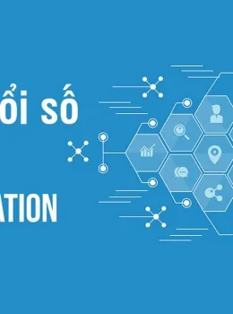 Sản phẩm chuyen doi so didongviet cover 2311 — Vận Tải Thái Tuấn - Công Ty TNHH Tập Đoàn Thái Tuấn Logistics — MST 0306229492