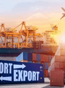 Sản phẩm dich vu uy thac xuat nhap khau real logistics1 16 — Vận Tải Thái Tuấn - Công Ty TNHH Tập Đoàn Thái Tuấn Logistics — MST 0306229492