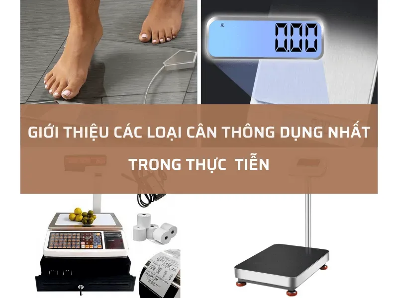 Sản phẩm CAC LOAI CAN THONG DUNG — Điện Máy Trường Việt - Công Ty TNHH MTV Trường Việt — MST 0306411423