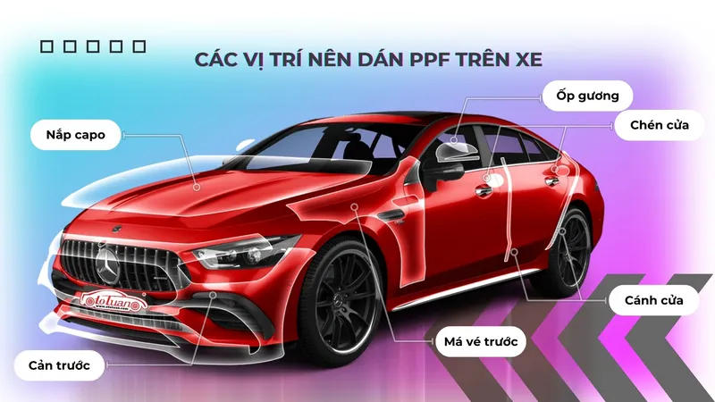 Sản phẩm cac vi tri nen dan phim ppf cho xe o to — Công Ty TNHH Một Thành Viên Thương Mại Dịch Vụ Ô Tô Tuấn — MST 0306415241