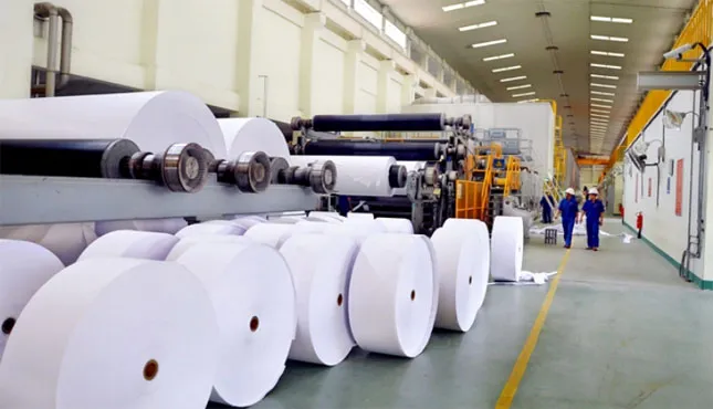 Sản phẩm giay so do nganh det may viet nam 8 1 5694 — Công Ty TNHH Sản Xuất Thương Mại Dịch Vụ Giấy Phúc Thịnh Phát — MST 0306562912