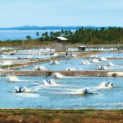 Sản phẩm d — Công Ty TNHH HCP Pumps Việt Nam — MST 0306569918