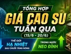 Sản phẩm gia cao su tuan qua 3 1781922805.jpg — Hóa Chất Công Nghiệp Thiên Vinh - Công Ty TNHH Quốc Tế Thiên Vinh — MST 0306600734