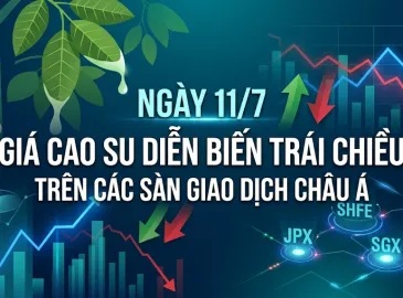 Sản phẩm gia cao su ngay 1107a 1783732266.jpg — Hóa Chất Công Nghiệp Thiên Vinh - Công Ty TNHH Quốc Tế Thiên Vinh — MST 0306600734