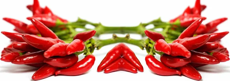 Sản phẩm 0158253995571160 — Công Ty TNHH Sản Xuất Và Chế Biến ớt Phạm Tân — MST 0306654602