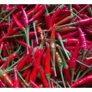 Sản phẩm 424218686650_132x120 — Công Ty TNHH Sản Xuất Và Chế Biến ớt Phạm Tân — MST 0306654602