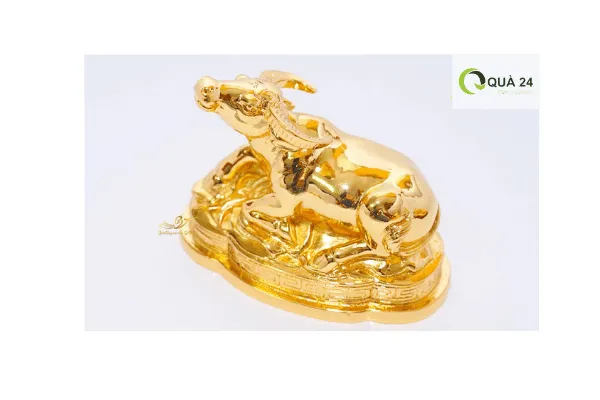 Sản phẩm qua tang con trau — Công Ty TNHH Quà Tặng Apollo — MST 0306677039