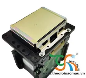 Sản phẩm 922401159385 — In Thế Giới Sắc Màu - Công Ty TNHH MTV TM DV Thế Giới Sắc Màu — MST 0306723415